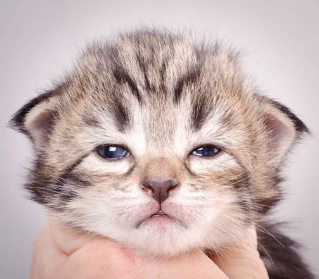 Description: J:\Pictures\M-kull\M-kull_2_weeks\20101203_M-kull_2_weeks_0045.jpg