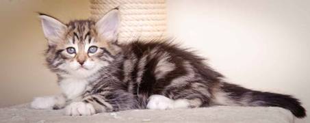 Description: J:\Pictures\M-kull\M-kull_6_weeks\20101231_M-kull_6_weeks_0032.jpg