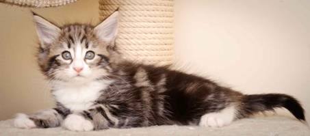 Description: J:\Pictures\M-kull\M-kull_7_weeks\20110106_M-kull_7_weeks_0065.jpg