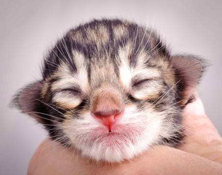 Description: J:\Pictures\M-kull\M-kull_newborn\20101119_M-kull_newborn_0007.jpg