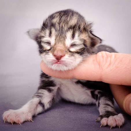 Description: J:\Pictures\M-kull\M-kull_newborn\20101119_M-kull_newborn_0021.jpg