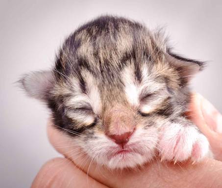 Description: J:\Pictures\M-kull\M-kull_newborn\20101119_M-kull_newborn_0025.jpg