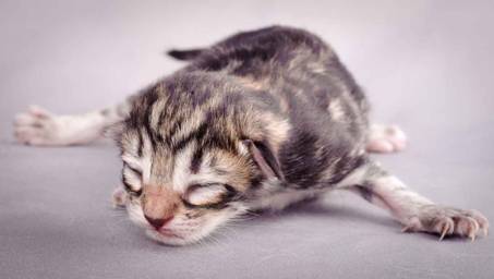 Description: J:\Pictures\M-kull\M-kull_newborn\20101119_M-kull_newborn_0030.jpg