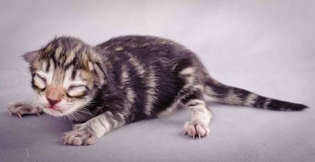 Description: J:\Pictures\M-kull\M-kull_newborn\20101119_M-kull_newborn_0036.jpg