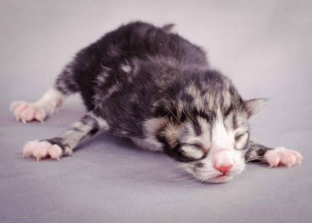 Description: J:\Pictures\M-kull\M-kull_newborn\20101119_M-kull_newborn_0044.jpg