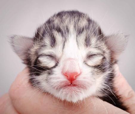 Description: J:\Pictures\M-kull\M-kull_newborn\20101119_M-kull_newborn_0054.jpg