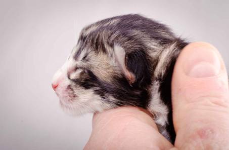 Description: J:\Pictures\M-kull\M-kull_newborn\20101119_M-kull_newborn_0051.jpg