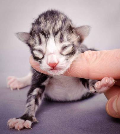 Description: J:\Pictures\M-kull\M-kull_newborn\20101119_M-kull_newborn_0048.jpg