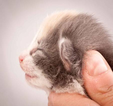 Description: J:\Pictures\N-kull_1_week\20111118_Joachim_008.jpg