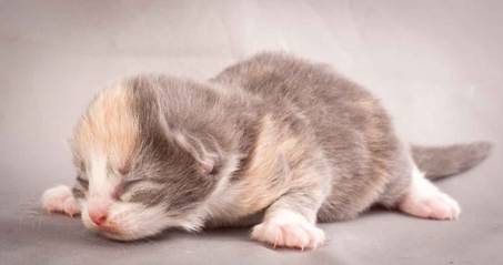 Description: J:\Pictures\N-kull_1_week\20111118_Joachim_010.jpg