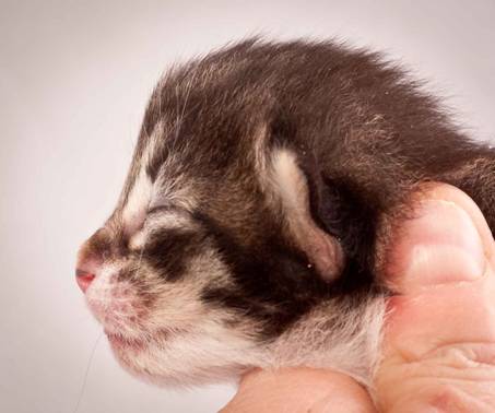 Description: J:\Pictures\N-kull_1_week\20111118_Joachim_013.jpg