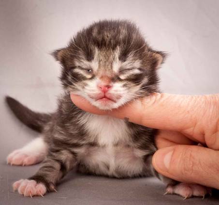 Description: J:\Pictures\N-kull_1_week\20111118_Joachim_011.jpg