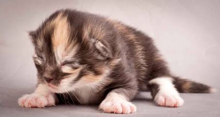 Description: J:\Pictures\N-kull_1_week\20111118_Joachim_019.jpg