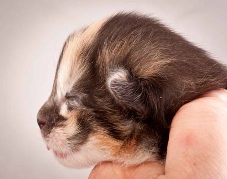 Description: J:\Pictures\N-kull_1_week\20111118_Joachim_018.jpg