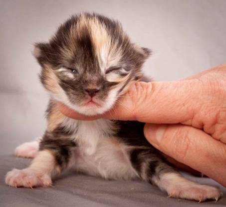 Description: J:\Pictures\N-kull_1_week\20111118_Joachim_016.jpg