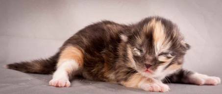 Description: J:\Pictures\N-kull_1_week\20111118_Joachim_020.jpg