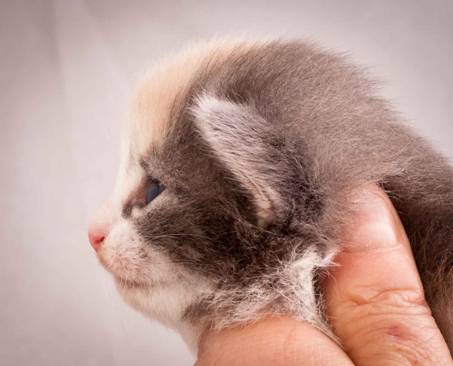 Description: J:\Pictures\N-kull_2_weeks\20111124_N-kull_2_weeks_0026.jpg