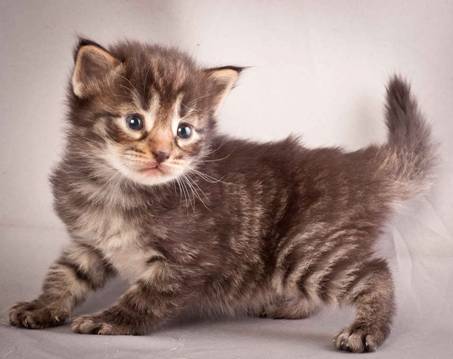 Description: J:\Pictures\N-kull_3_weeks\20111201_N-kull_3_weeks_0012.jpg