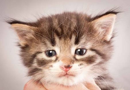 Description: Description: Description: J:\Pictures\N-kull_4_weeks\20111209_N-kull_4_weeks_0051.jpg