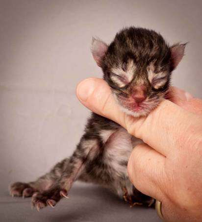 Description: Description: J:\Pictures\N-kull_Day_1\20111110_N-kull_Day_1_0001.jpg