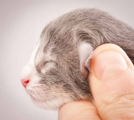 Description: Description: J:\Pictures\O-kull_1_day\20111204_O-kull_1_day_0009.jpg