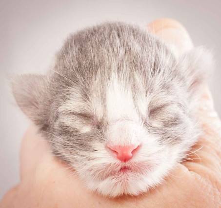 Description: Description: J:\Pictures\O-kull_1_day\20111204_O-kull_1_day_0007.jpg