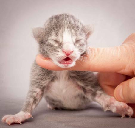 Description: Description: J:\Pictures\O-kull_1_day\20111204_O-kull_1_day_0005.jpg