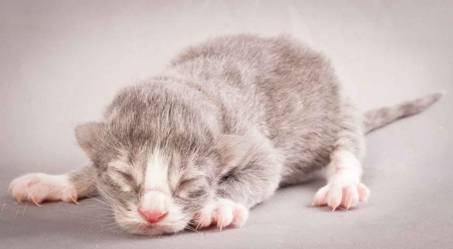 Description: Description: J:\Pictures\O-kull_1_day\20111204_O-kull_1_day_0003.jpg