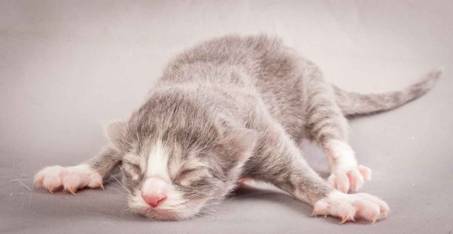 Description: Description: J:\Pictures\O-kull_1_day\20111204_O-kull_1_day_0001.jpg