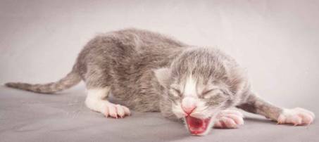 Description: Description: J:\Pictures\O-kull_1_day\20111204_O-kull_1_day_0011.jpg