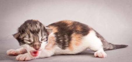 Description: Description: J:\Pictures\O-kull_1_day\20111204_O-kull_1_day_0025.jpg