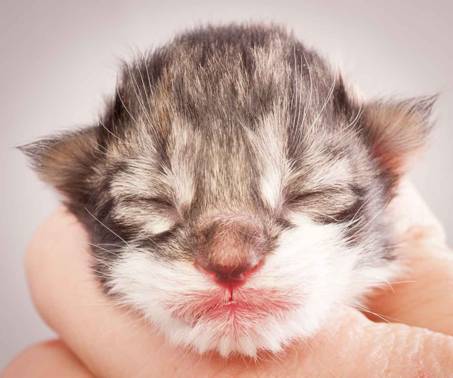 Description: Description: J:\Pictures\O-kull_1_day\20111204_O-kull_1_day_0021.jpg