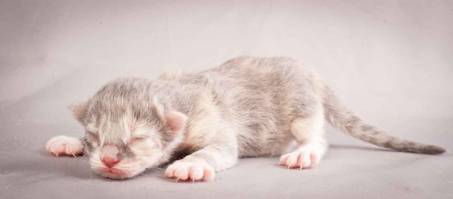 Description: Description: J:\Pictures\O-kull_1_day\20111204_O-kull_1_day_0049.jpg