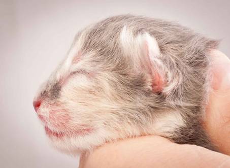 Description: Description: J:\Pictures\O-kull_1_day\20111204_O-kull_1_day_0047.jpg