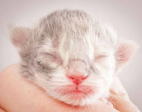 Description: Description: J:\Pictures\O-kull_1_day\20111204_O-kull_1_day_0041.jpg