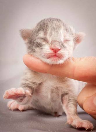 Description: Description: J:\Pictures\O-kull_1_day\20111204_O-kull_1_day_0039.jpg