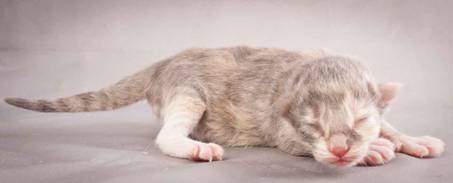 Description: Description: J:\Pictures\O-kull_1_day\20111204_O-kull_1_day_0053.jpg