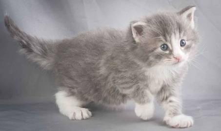 Description: J:\Pictures\O-kull_4_weeks\20111231_O-kull_4_weeks_0010.jpg