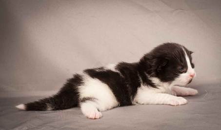 Description: Description: D:\Pictures\P_kull_2_weeks\20120606_P-kull_2_weeks_0067.jpg