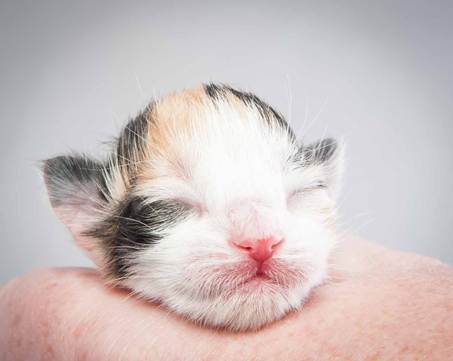20121025_R-kull_newborn_0035