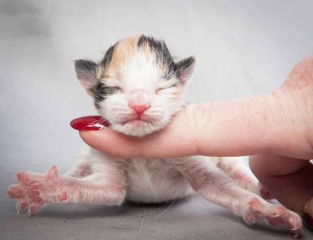 20121025_R-kull_newborn_0032