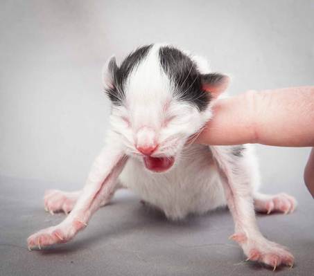 20121025_R-kull_newborn_0044