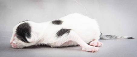 20121025_R-kull_newborn_0043