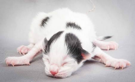 20121025_R-kull_newborn_0042