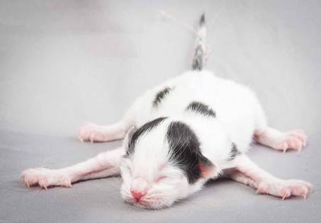 20121025_R-kull_newborn_0039