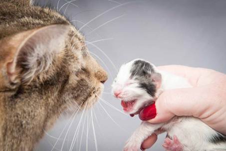 20121025_R-kull_newborn_0067