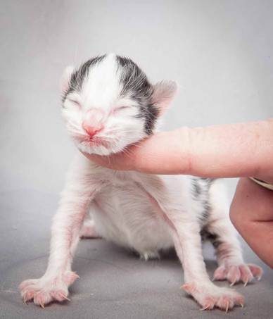 20121025_R-kull_newborn_0065