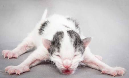 20121025_R-kull_newborn_0059