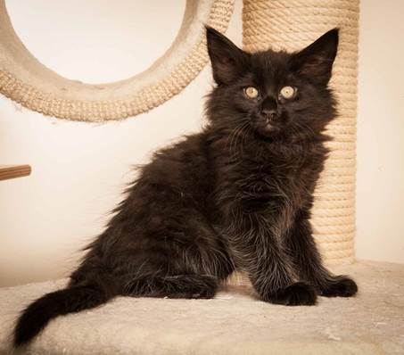 20130307_T-kull_10_weeks_0007