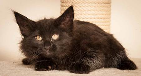 20130307_T-kull_10_weeks_0002